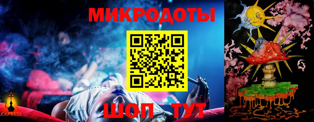 Галлюциногенные грибы Psilocybe Гусиноозёрск